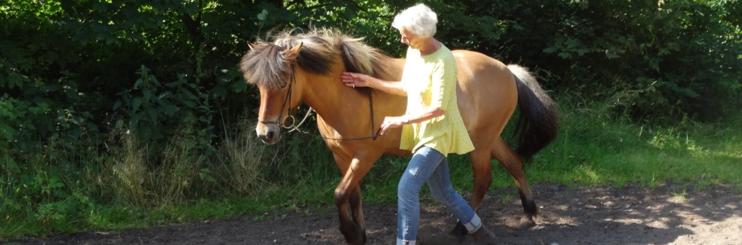 Horsemanship med tillidsøvelser som holde hånd med let stilling