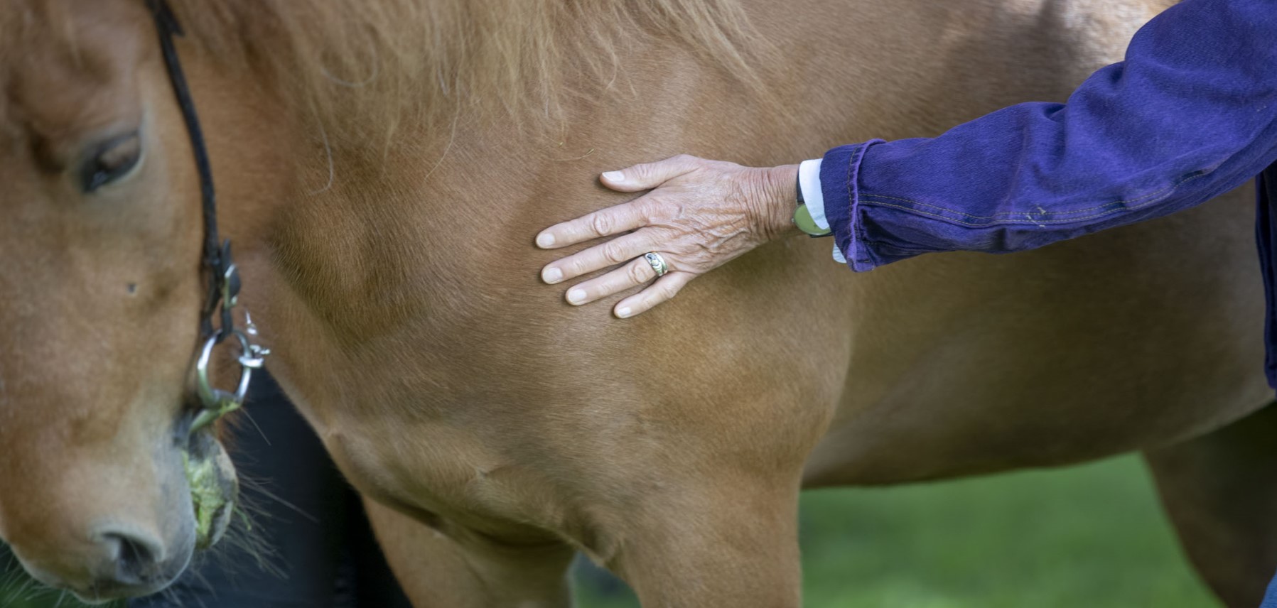 kontakten til hesten, naturen samt vores klienter, bliver meget bedre, mere nærværende, når vi oplever mere med sanserne.
